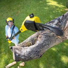 Best Aeration Services  in Brentwood, CA