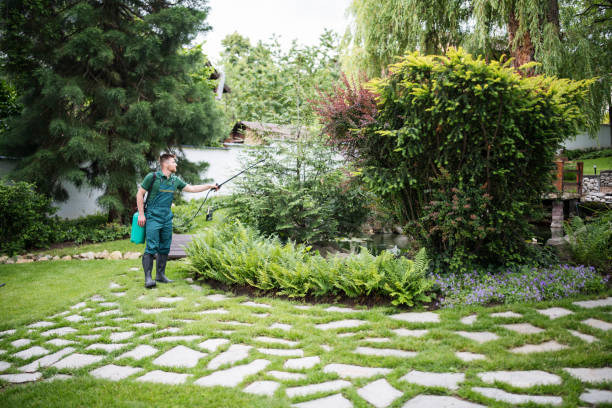 Best Lawn Drainage Solutions  in Brentwood, CA